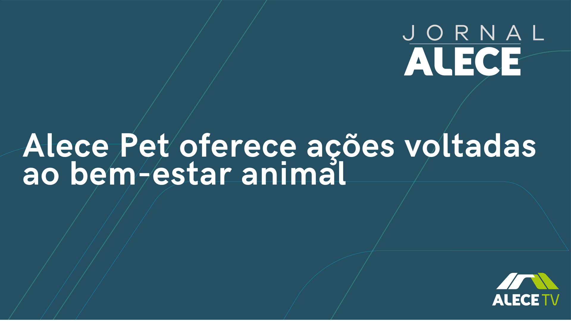Alece Pet oferece ações voltadas ao bem-estar animal